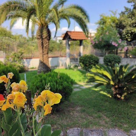 I Giardini Di Plinio - Elegante E Luminoso. Apartman Boscoreale Kültér fotó