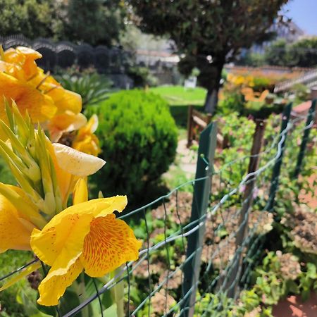 I Giardini Di Plinio - Elegante E Luminoso. Apartman Boscoreale Kültér fotó