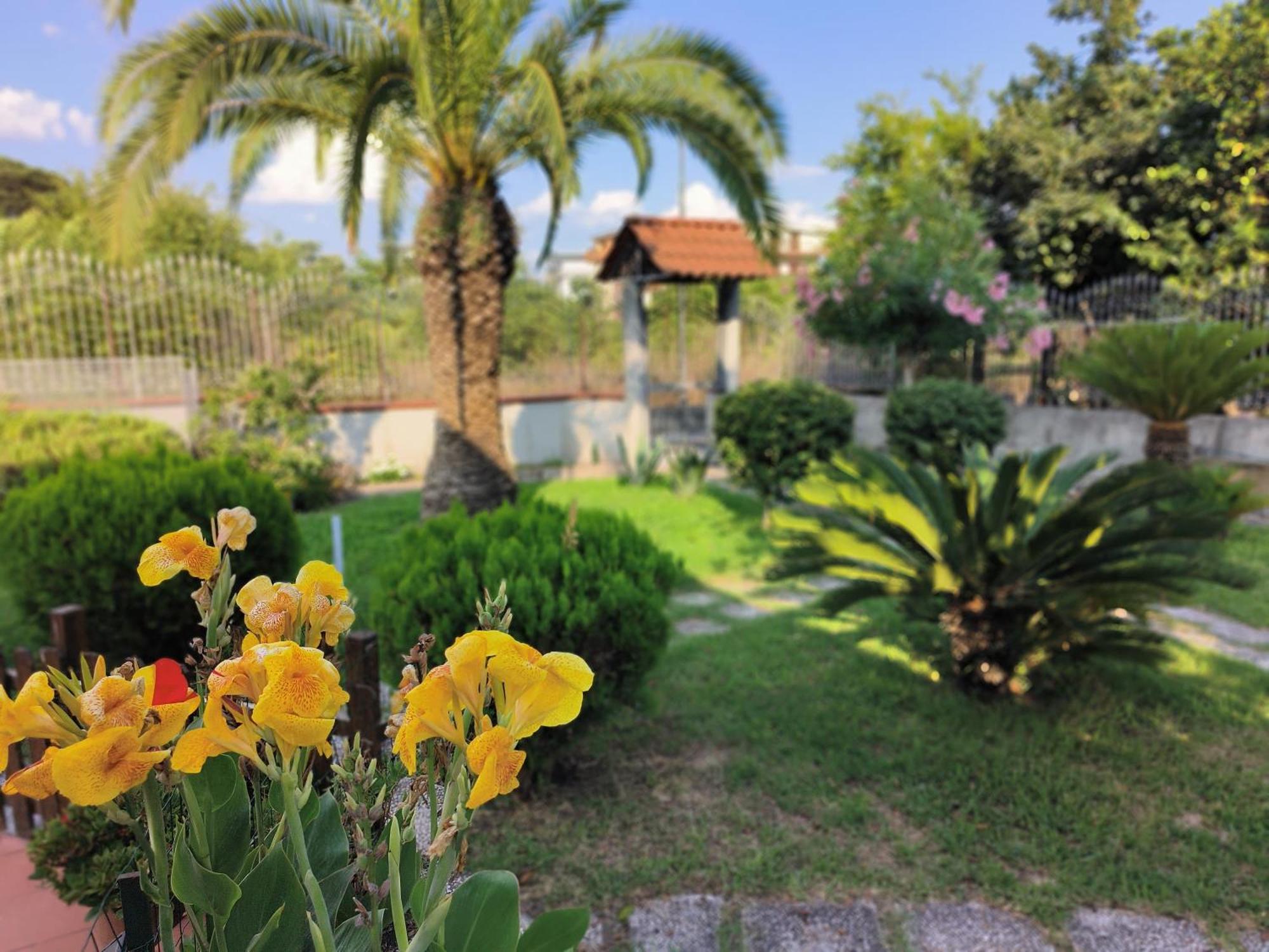 I Giardini Di Plinio - Elegante E Luminoso. Apartman Boscoreale Kültér fotó