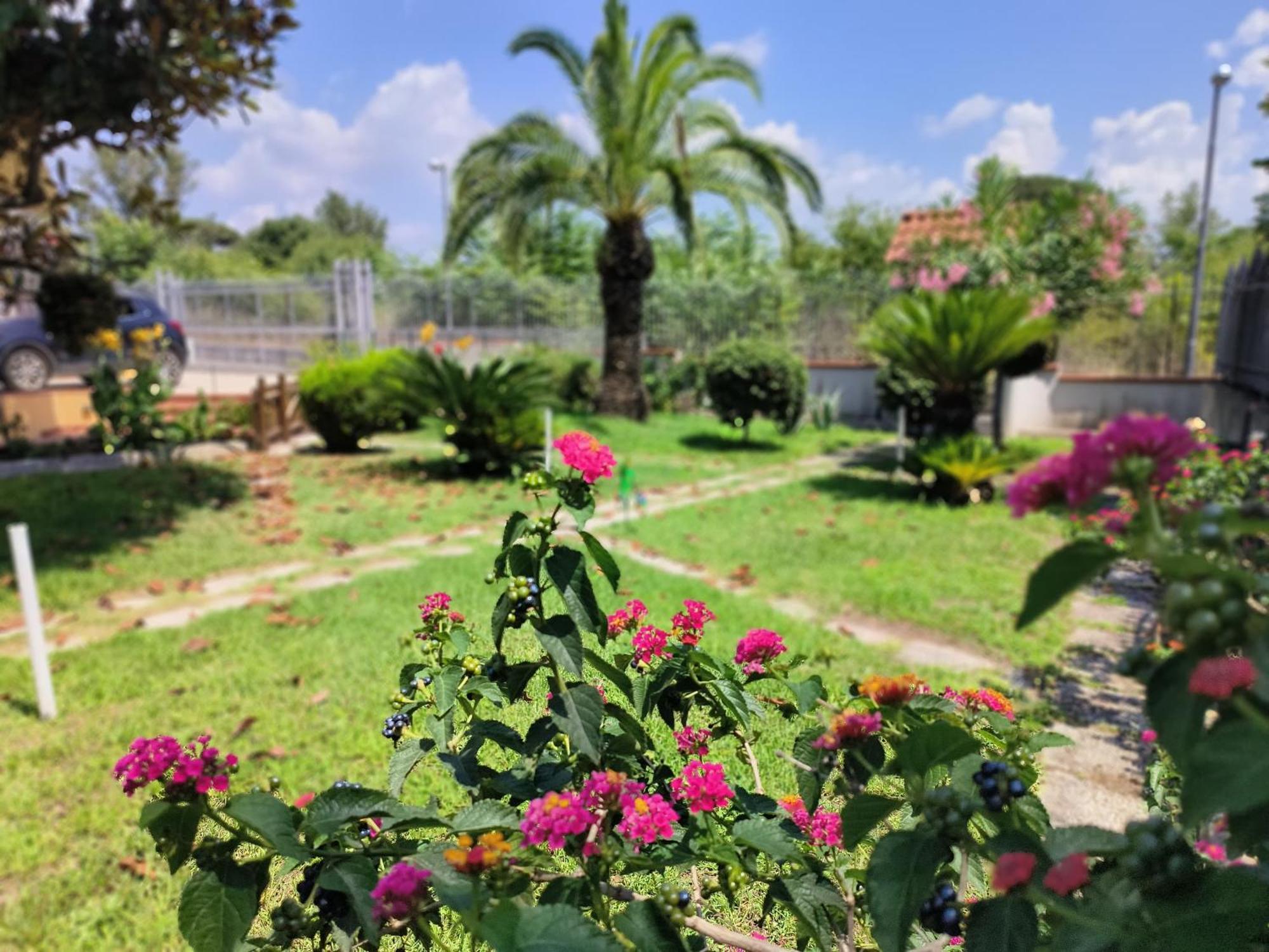 I Giardini Di Plinio - Elegante E Luminoso. Apartman Boscoreale Kültér fotó